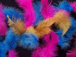 Bag fluffy hen feathers any colour