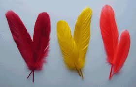 Bag goose quill feathers