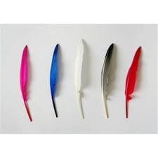duck feather all colour