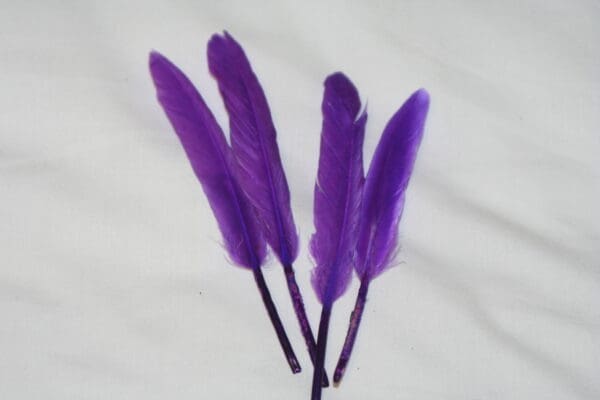 duck feathers purple