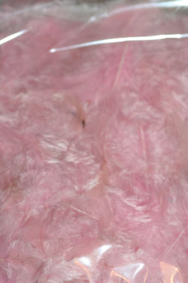 fluffy hen feathers