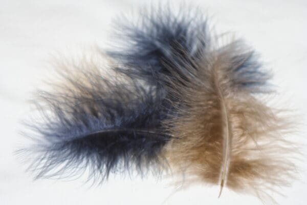 fluffy marabou mixed colours