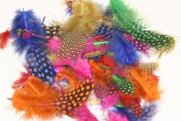 guinea fowl jubliee mix