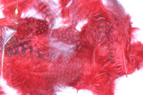 guinea fowl red