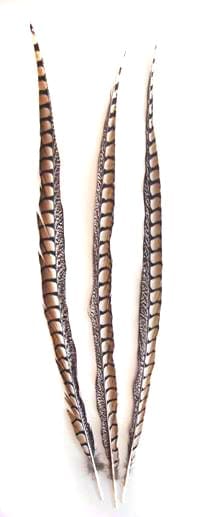 Lady Amethyst Pheasant Feathers SIDE TAIL