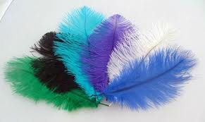 ostrich plume feather 8-10inch all colours