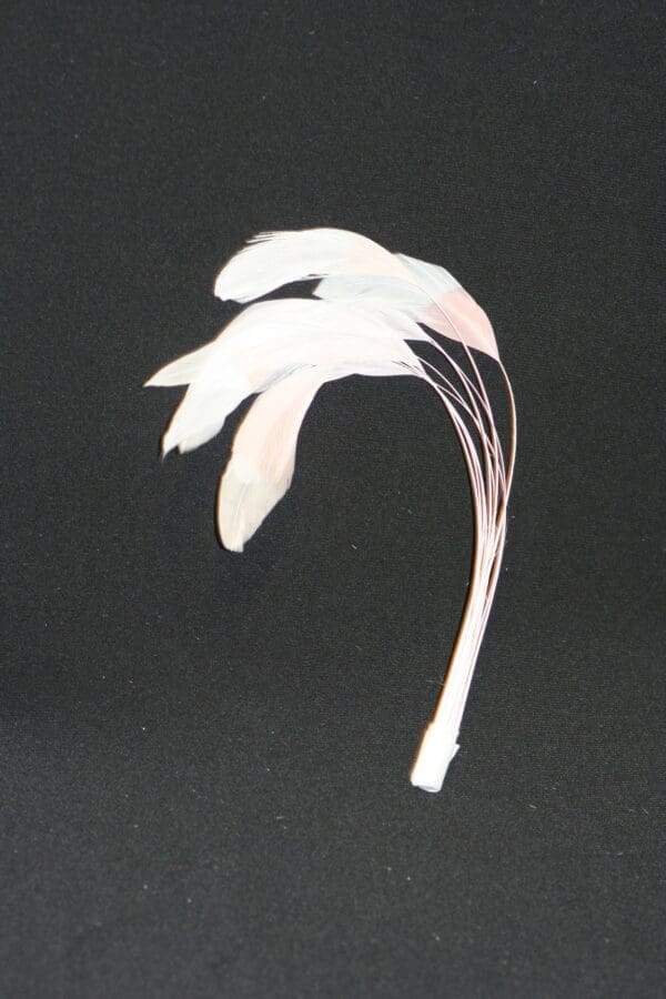 stripped coque bleached mount
