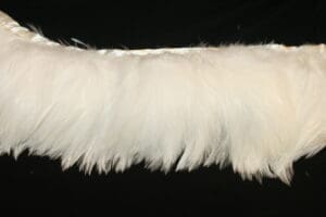 White Hackle Feather Fringe