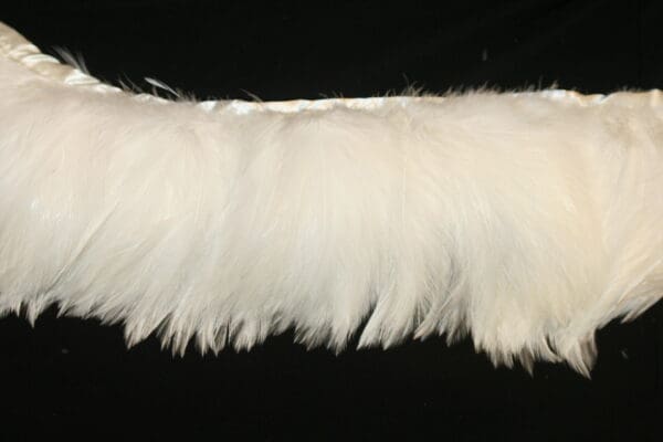 White Hackle Feather Fringe