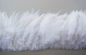 White Saddle Feather Fringe