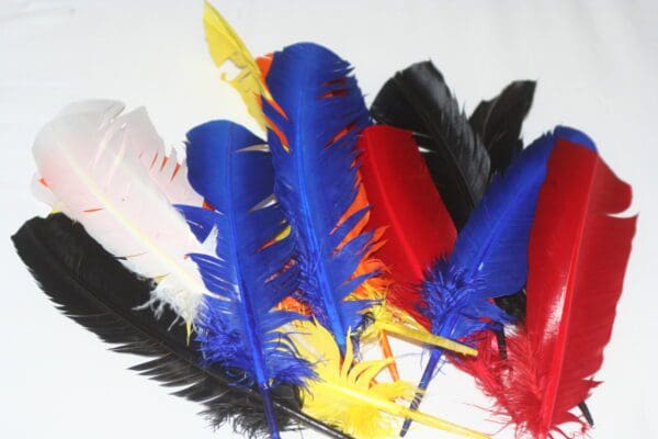 Eagle Indian feathers