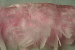 Chandelle Feather Fringe