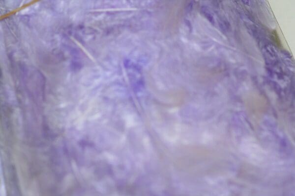 fluffy hen feathers