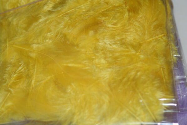 fluffy hen feathers