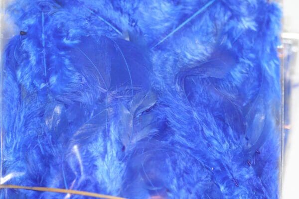 fluffy hen feathers