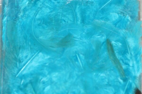 fluffy hen feathers