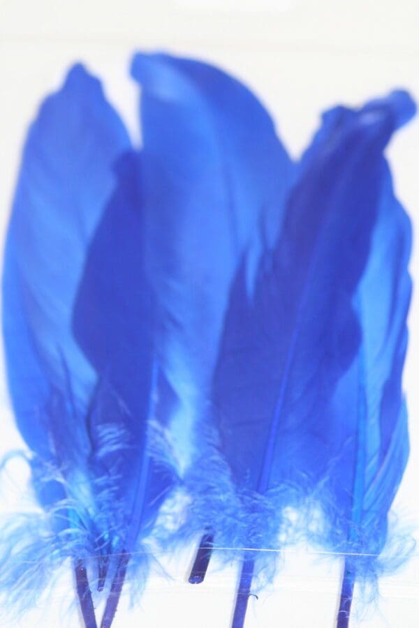 goose feathers